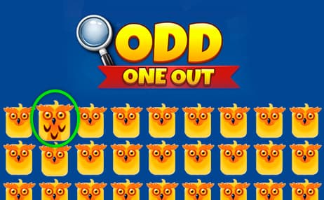 Odd One Out